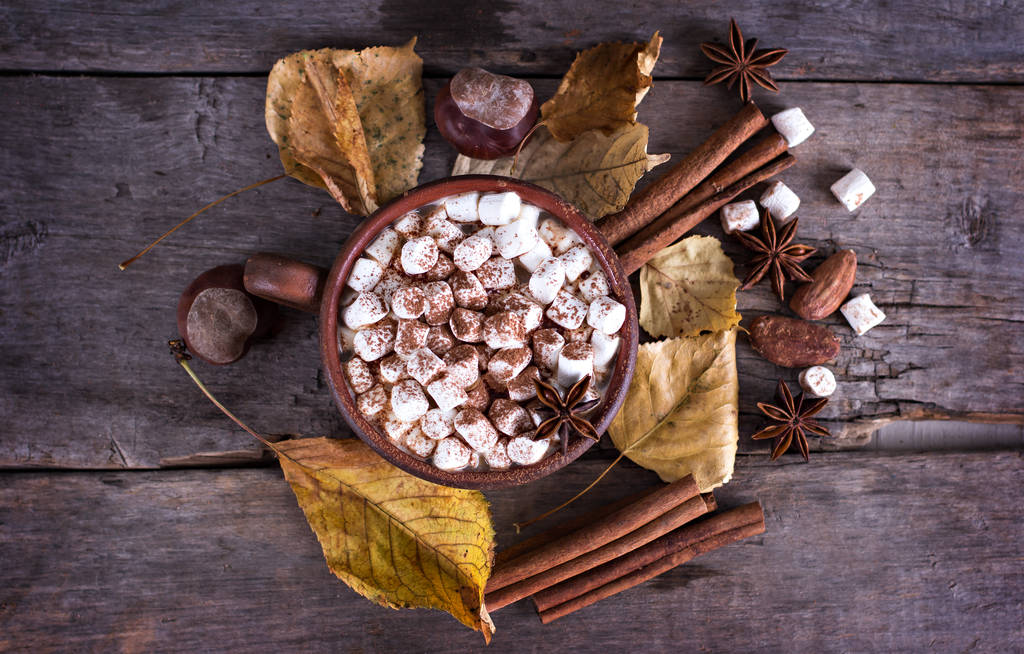 Double Chocolate Cookie
